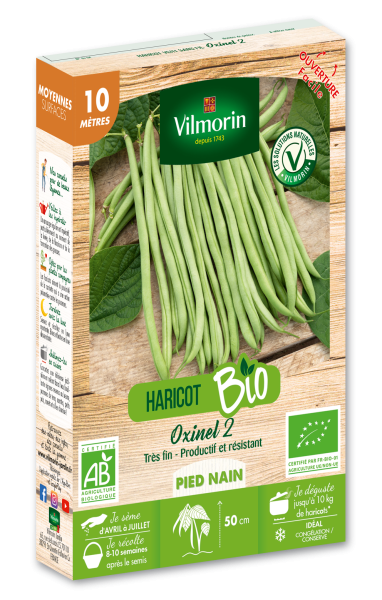 Légumes Secs - Haricot Nain Vert Oxinel 2 - 10 m - BIO - PACKAGING_3D_RECTO